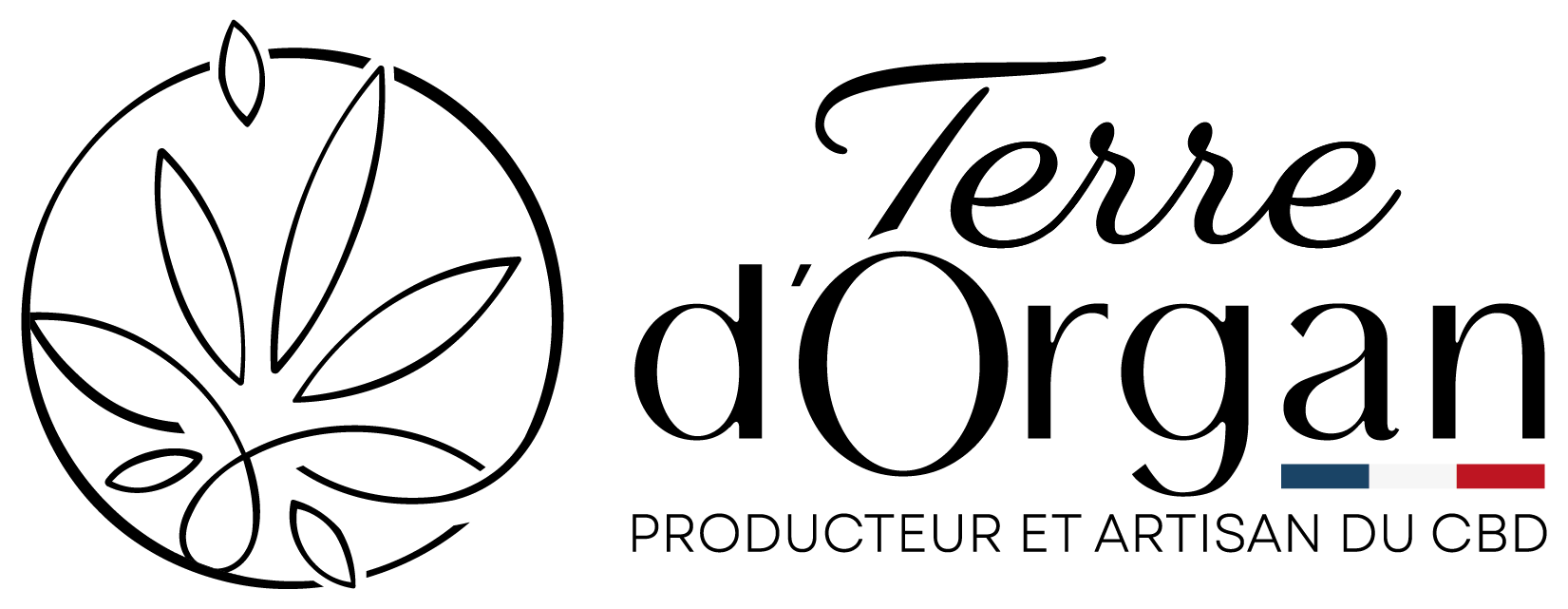 Logo de Terre d'Organ